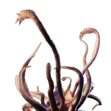 Kraken Spawn