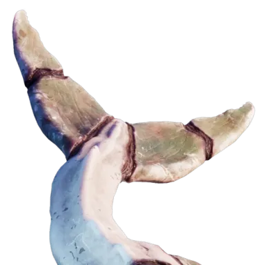 Dread Whale