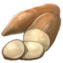 Cassava Roots