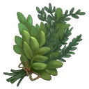 Herbs