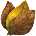 Tobacco
